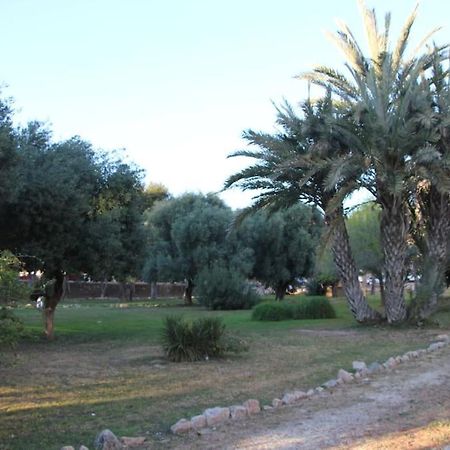 Tesoro Del Eden Torrevieja Exterior foto